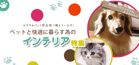 千葉 DIY＆リフォームショップREROOM【ペット特集 滑り止め】